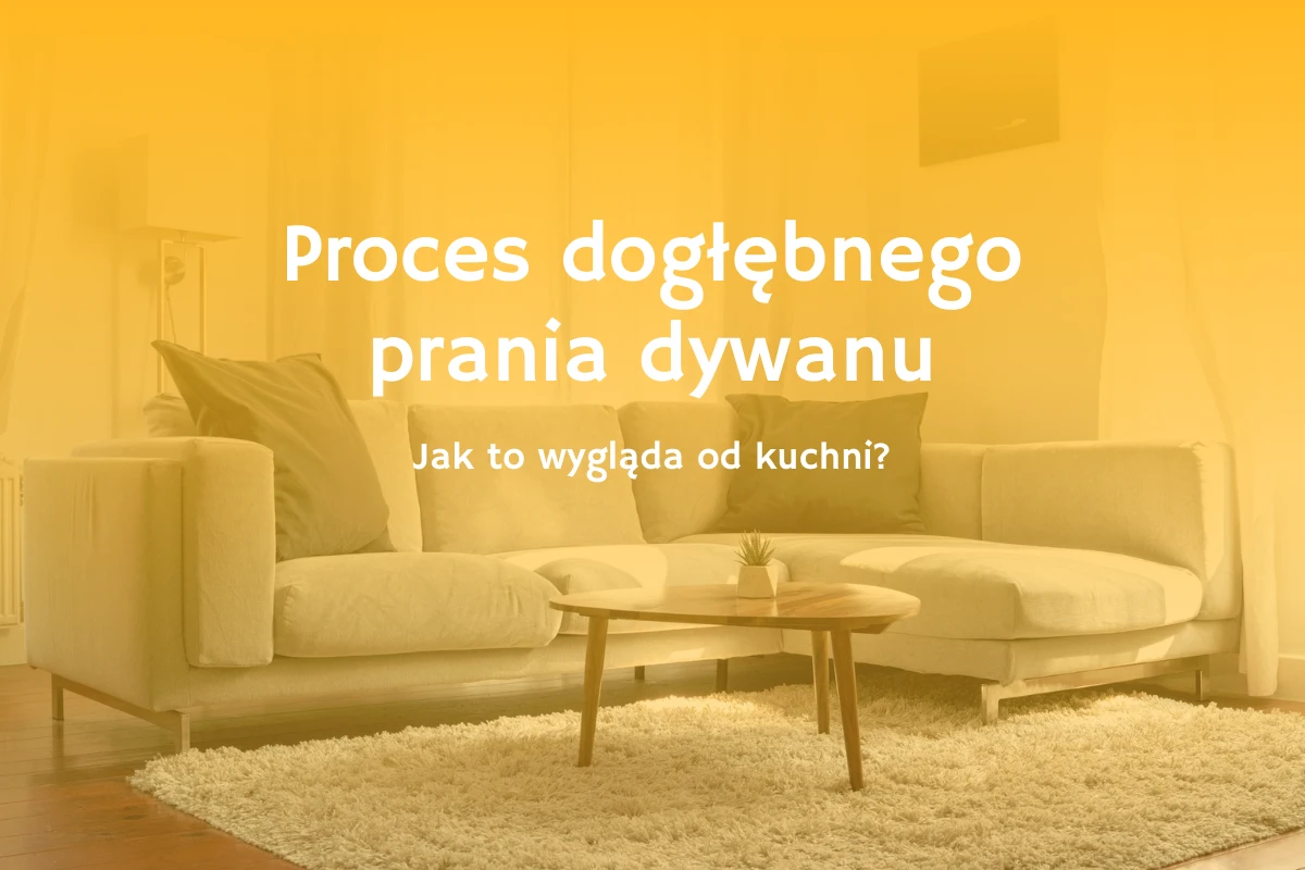 Jak profesjonalnie wyprać dywan - baner